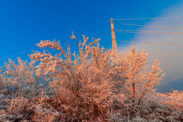 Winter rime on the trees landscape