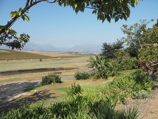 Weingut in Südafrika bei Stellenbosch, nahe Kapstadt