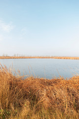 The natural park of the delta del ebro in Tarragona