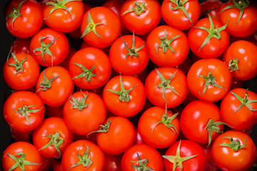 Top view of delicious looking red tomatoes