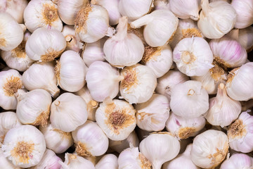 Tasty looking bunch of garlic heads together