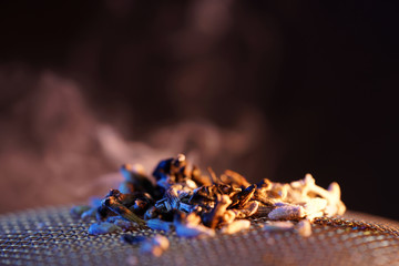 After lighting, thyme spreads a pleasant fragrance and is therefore very suitable for smoking meat and fish, photographed in the studio 