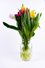 A bunch of colorful tulips in a vase on white background