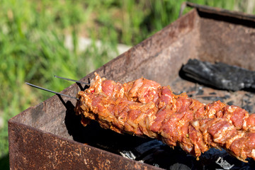 Barbecue. Raw meat on a skewer.Cooking Shish kebab on the grill.