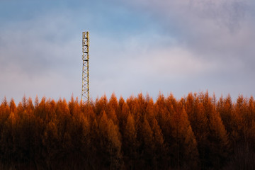 New tower build on the hill in forest rady for3G 4G LTE Radio Mast in a Rural Location - obrazy, fototapety, plakaty