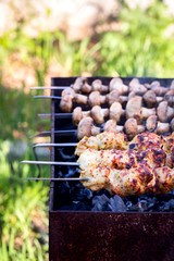 Barbecue. Cooking Shish kebab meat and mushrooms  on the grill.
