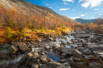 Russian north  Autumn in the mountains Khibiny