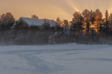  Frozen winter forest Russian north sun