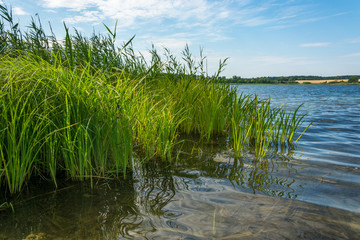 Fototapeta na wymiar Krakower See, Krakow am See, Mecklenburgische Seenplatte