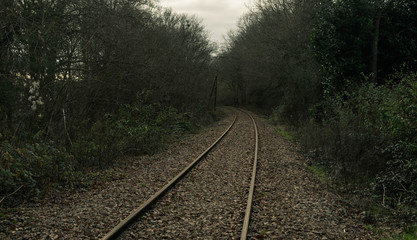 Fototapeta premium railway with a mysterious atmosphere. train tracks.