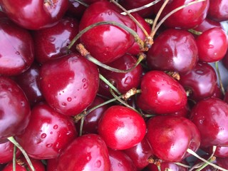 Bunch of cherries. Fruit cherry