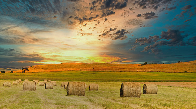 hay field