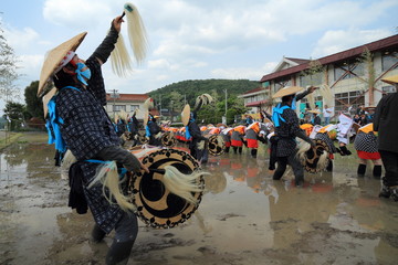 重要無形民俗文化財　広島　安芸高田　花田植　はやし田　原田はやし田　来原さんばい祭り　