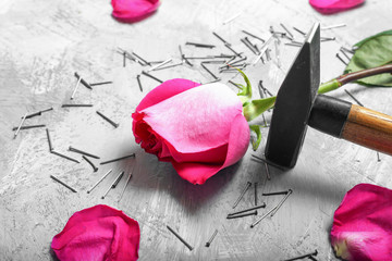 Pink rose, hammer and nails close-up on a gray stone background
