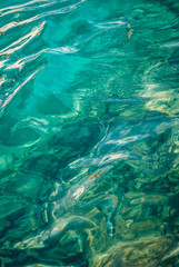 clear turquoise sea ocean water surface with ripples low waves on seascape background