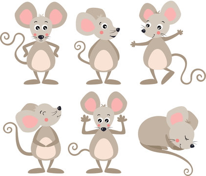 Set of funny mice in different positions