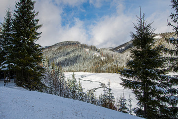 Winter landscape in Carpathins Mountains