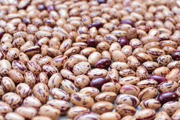 Raw bean grains (Phaseolus vulgaris) displayed in bowl