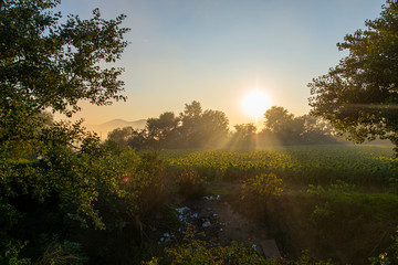 Fototapeta na wymiar Sunrise near the Mures river, Deva