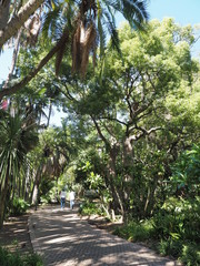 Fototapeta premium Company’s Garden in Kapstadt