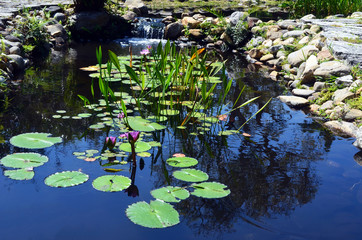 View of a pond in a Japanese garden