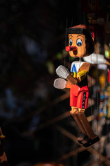 Pinocchio Wooden Marionette, Carlo Collodi fictional character