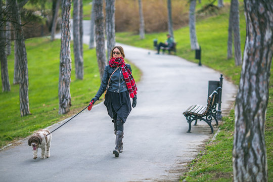 Woman Taking Her Dog For A Walk