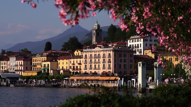 Blooming flower trees in front of Bellagio, Lake Como. Alps mountains. Summer luxury tourism landmark & romantic honeymoon travel destination in Italy. 
