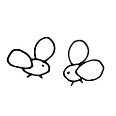 Set of 2 flies isolated on white background. Hand drawn vector simple illustrations in cartoon outline style