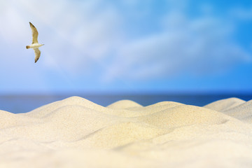 Naklejka premium Abstract seascape tropical beach background, blur bokeh light of calm sea, sky, rays of the sun and a seagull. Summer vacation background concept