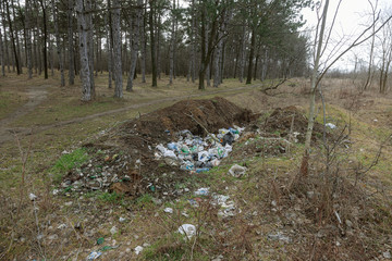 Garbage in forest. People illegally thrown garbage into forest. Concept of man and nature. Illegal...