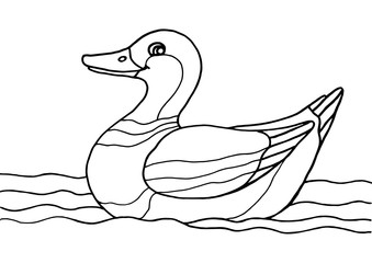 Funny cartoon duck swims in the water. Coloring for children. Outline. Hand drawing linear doodle drawing. Illustration stock.
