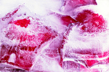 Red rose petals frozen in ice.