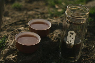 Drinking tea by the lake