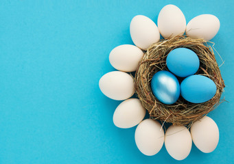 colored blue and azure Easter eggs in nest top view background, selective focus image. Happy Easter card