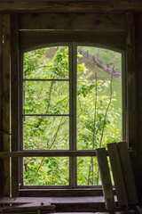 wooden windows from which you can see a forest of abundant vegetation and intense green