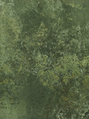 The texture of a green painted wall. Copy space