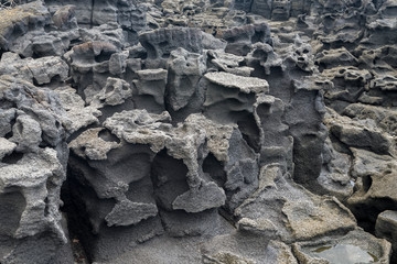 After the lava flow, Big Island Hawaii