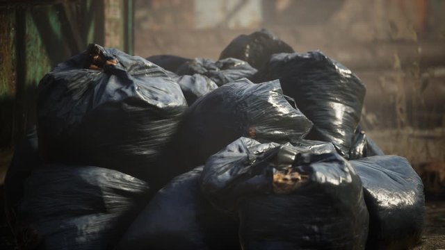 Plastic Trash Bags On Curb Outside City Building