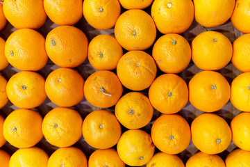 Oranges and vitamin C pattern