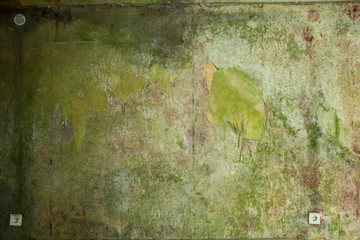 Texturen einer Schimmelwand erzeugen interessante Effekte