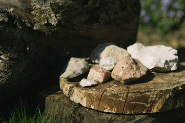 Spring in the garden