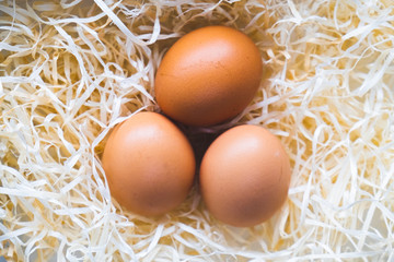 closeup fresh eggs on the hay straw background texture with warm tone color the chicken egg used to...