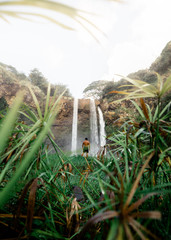 Hawaii Waterfall Dream 