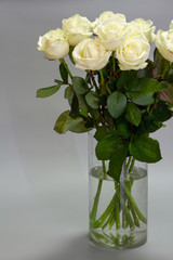 Bouquet of white roses in a glass vase on a gray background, greeting card or concept