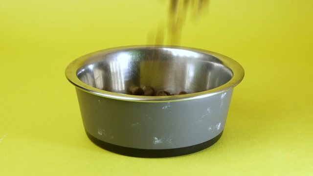 Close up isolated on yellow background of dry pet food or kibble being poured into an empty dish, bowl