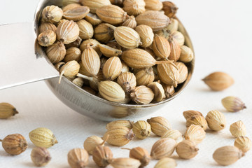 Coriander Seeds Spilled from a Teaspoon