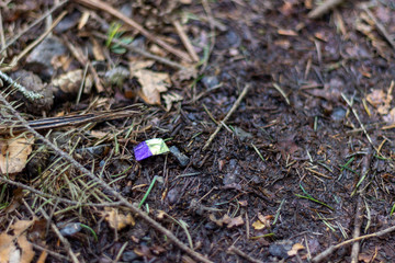 Piece of colored foil on the forest floor