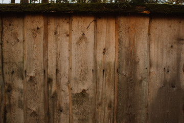 Rustic Wooden Fence With Moss Growing on it. Wood, exteriors.