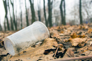 Fototapeta premium Pollution of nature. Trash and garbage, environmental hazard. Plastic cup in an old tree in the leaves. trash from disposable glasses from bottles on the nature.